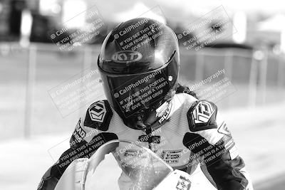 media/Jan-31-2025-2WTD (Fri) [[9ef8270bad]]/1-Around the Pits/